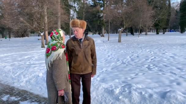 Romántica Pareja Ancianos Caminando Parque Invierno Amor Para Siempre — Vídeo de stock