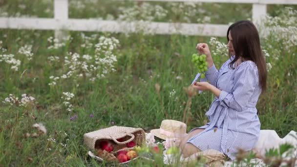 Hermosa futura madre leyendo el libro en el campo. Ella toma frutas — Vídeo de stock