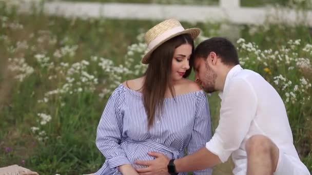 I futuri genitori si siedono sul campo. Donna incinta con il marito mettere le mani sulla pancia — Video Stock