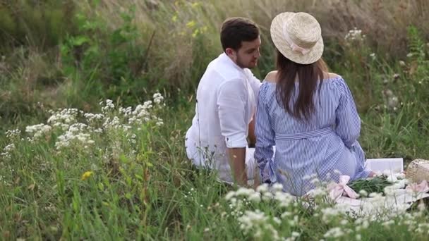 Будущие мама и папа сидят в поле. Беременная женщина с мужем положила руки на живот — стоковое видео
