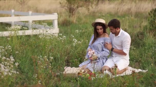 未来的爸爸妈妈坐在田野里。孕妇与她的丈夫把他们的手放在腹部 — 图库视频影像