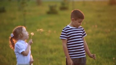 Küçük erkek ve kız çalıştırmak ve yürütmek. Karahindiba patlattılar. günbatımı