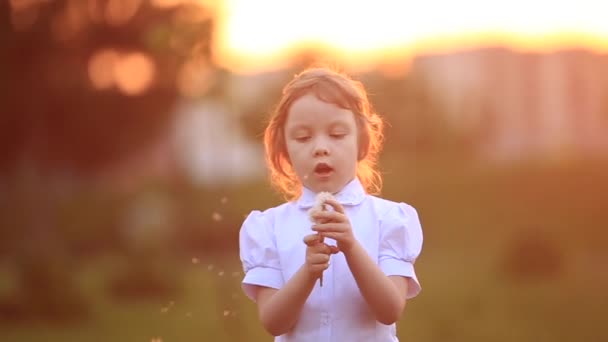 Κοριτσάκι τρέχει και παίζουν. Φυσούν πικραλίδα. ηλιοβασίλεμα — Αρχείο Βίντεο