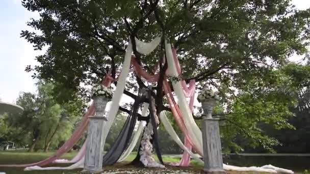 Güzel büyük ağaç düğün töreni için dekore edilmiştir. — Stok video