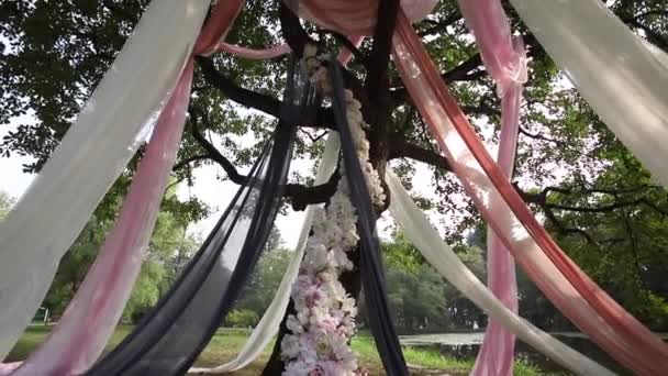 Hermoso árbol grande decorado para la ceremonia de boda — Vídeos de Stock