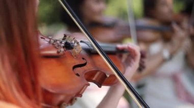 Tatlı kızlar el üzerinde keman çalıyor. Müzik dışında. Düğün töreni