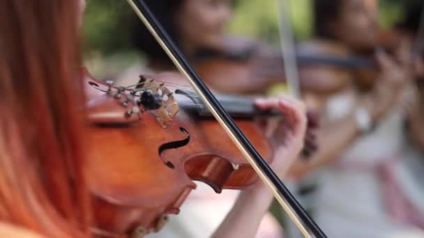 Closeup των κοριτσιών χέρι παίζει στο βιολί. Μουσική έξω. Γαμήλια τελετή — Αρχείο Βίντεο