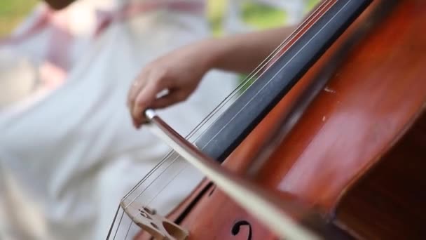 Close-up de meninas mão tocando no violino. Música lá fora. Cerimônia de casamento — Vídeo de Stock