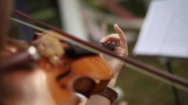 Close-up de meninas mão tocando no violino. Música lá fora. Cerimônia de casamento — Vídeo de Stock