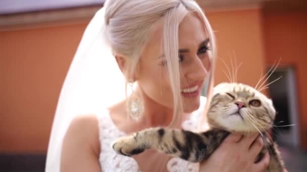 Mooie bruid met haar schattige kat. Meisjes huisdier. Blond haar meisje speelt met haar kat — Stockvideo