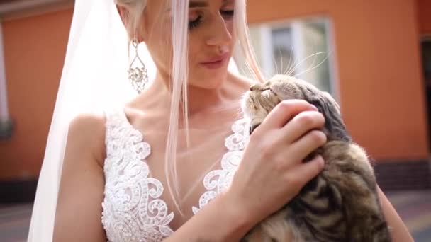 Όμορφη νύφη με χαριτωμένο γάτα της. Κορίτσια κατοικίδιο ζώο. Ξανθά μαλλιά κορίτσι Παίξτε με τη γάτα — Αρχείο Βίντεο