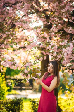 Güzel kız fotoğrafçı Pembe çiçek açan arka planı ağaçlar için poz. Bahar. Sakura