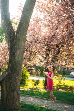 Güzel kız fotoğrafçı Pembe çiçek açan arka planı ağaçlar için poz. Bahar. Sakura