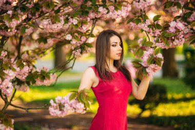 Sakura ağacı güzel kız portresi. Sakura çiçek kız kuşatır. Onun yüzünü şubesinin Sakura.