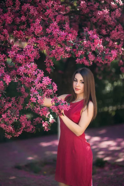 Gyönyörű hölgy áll a nagy virágzó fa Antal színe. Boldog lány a tavaszi smink — Stock Fotó