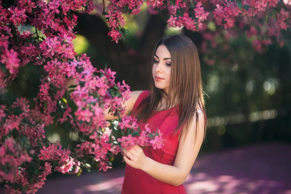 Gyönyörű hölgy áll a nagy virágzó fa Antal színe. Boldog lány a tavaszi smink — Stock Fotó