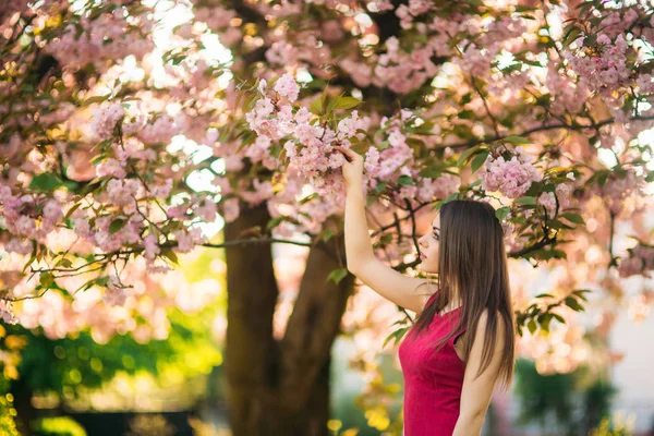 Gyönyörű lány pózol, hogy a fotós, a háttérben a virágzó rózsaszín fák. Tavaszi. Sakura — Stock Fotó