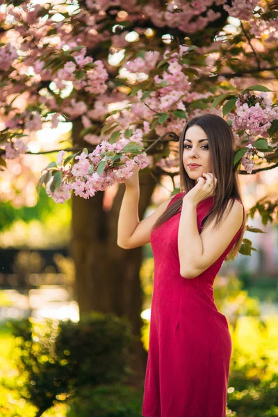 Hermosa chica posando para el fotógrafo sobre el fondo de los árboles rosados florecientes. Primavera. Sakura. —  Fotos de Stock