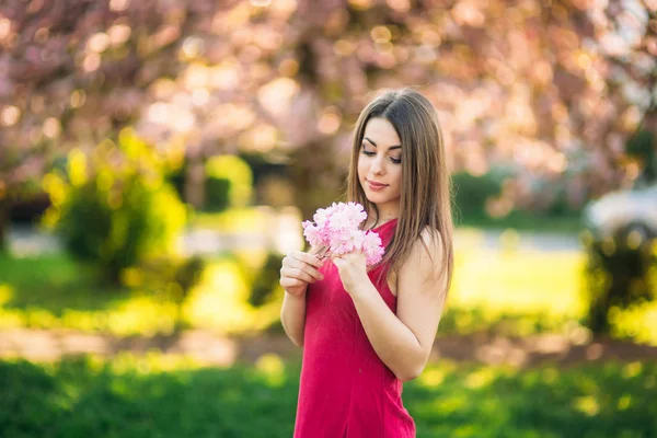 Portret Urocza dziewczyna w sukience fuksja. Kwiaty z sakura ona trzymać w dłoniach. Tle drzewa sakura — Zdjęcie stockowe