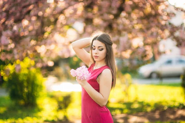 Retrato de una chica encantadora con un vestido fucsia. Ella sostiene una flor de sakura en sus manos. Antecedentes del árbol de sakura —  Fotos de Stock