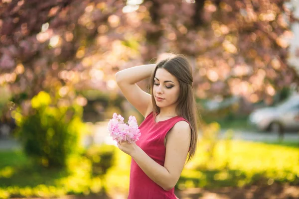 Retrato de una chica encantadora con un vestido fucsia. Ella sostiene una flor de sakura en sus manos. Antecedentes del árbol de sakura — Foto de Stock