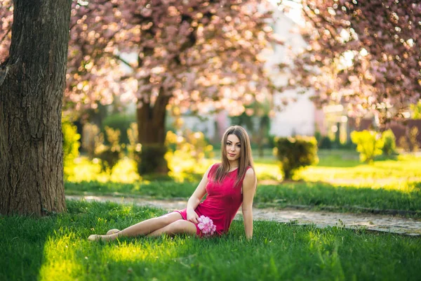 Niña sentada en la hierba y sosteniendo una flor de sakura en sus manos. Antecedentes del bokeh rosa de los árboles de sakura —  Fotos de Stock