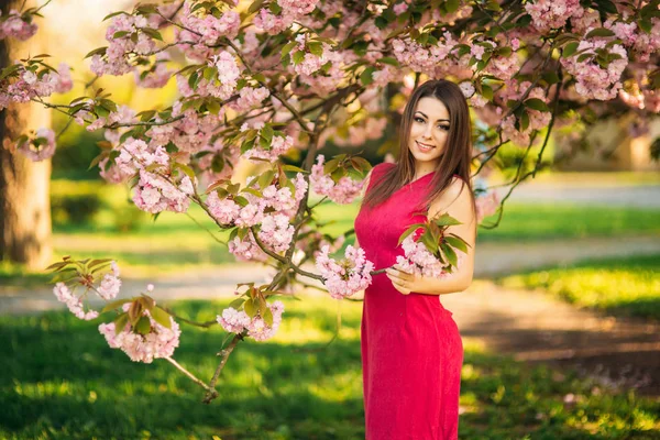벚꽃 나무에 아름 다운 여자의 초상화입니다. 사쿠라 꽃 소녀를 둘러싸고 있습니다. 그녀의 얼굴에 의해 사쿠라 지점 — 스톡 사진