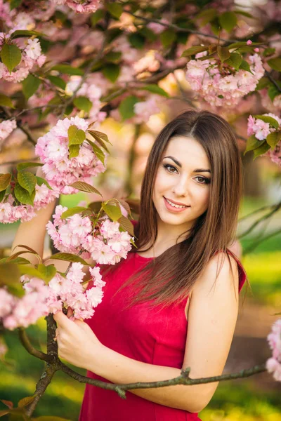 Sakura ağacı güzel kız portresi. Sakura çiçek kız kuşatır. Onun yüzünü şubesinin Sakura — Stok fotoğraf