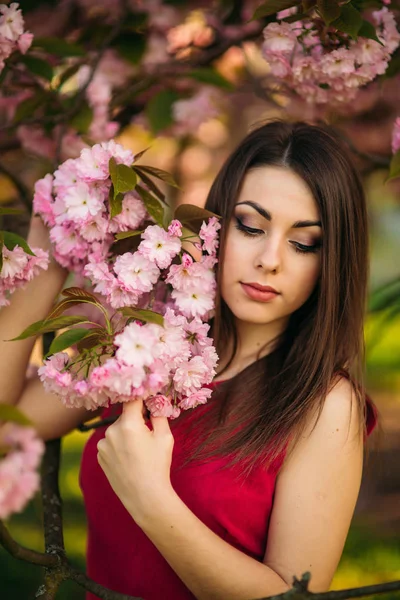 Portret pięknej dziewczyny w drzewa sakura. Sakura kwiatów wokół dziewczyny. Gałąź sakkury przez jej twarz — Zdjęcie stockowe