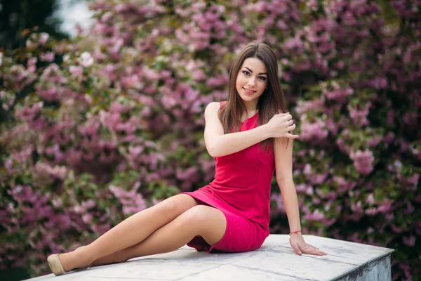 Young girl sist in front of sakura tree. Spring outside. Blossom tree — Stock Photo, Image