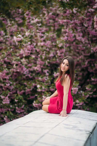 Giovane ragazza sist davanti all'albero di sakura. Primavera fuori. Albero dei fiori — Foto Stock