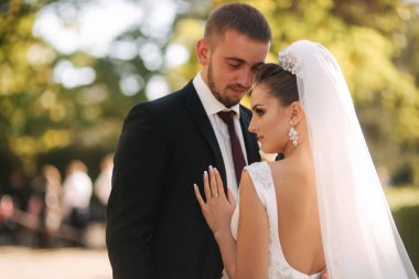 Güzel gelin kocası parkta. Sarı ağacın yanında yürüyorlar. Güzel makyaj