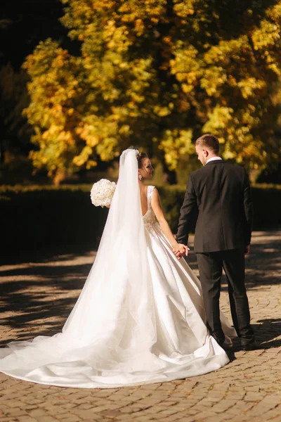 Bela noiva com o marido no parque. Eles estão andando perto da árvore amarela. Bela maquiagem — Fotografia de Stock