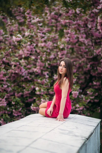 Молода дівчина сидить перед деревом сакури. Весна надворі. Рожеве квітка дерево — стокове фото