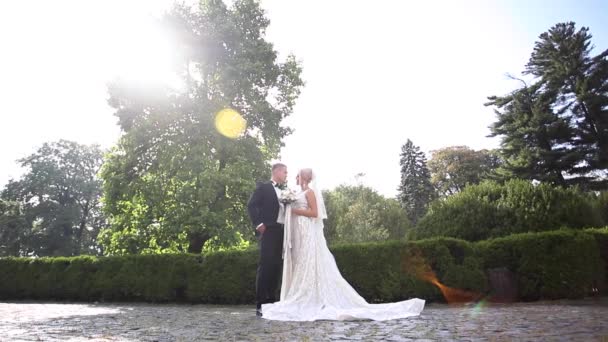 Hermosa pareja de boda caminando en el parque. Novia con vestido blanco largo y elegante novio — Vídeo de stock