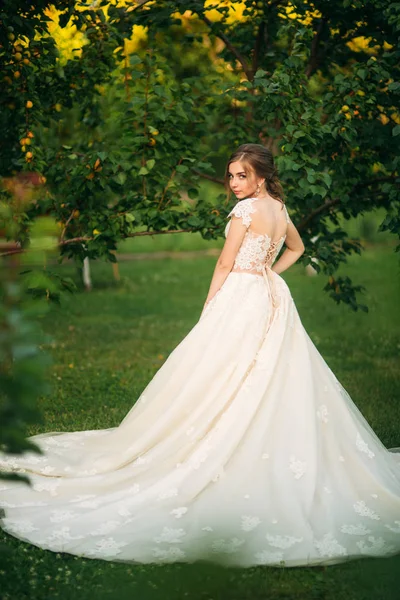 Okouzlující nevěsta s krásný make-up a účes pózování pro fotografa — Stock fotografie