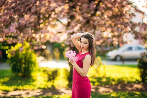 Ragazza affascinante in bel vestito rosa tenere mazzo di sakura in mano. Bella ragazza europea vicino all'albero giapponese — Foto Stock
