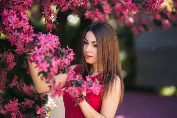 Hermosa dama de pie junto al gran color voilet árbol floreciente. Chica feliz con maquillaje en primavera —  Fotos de Stock