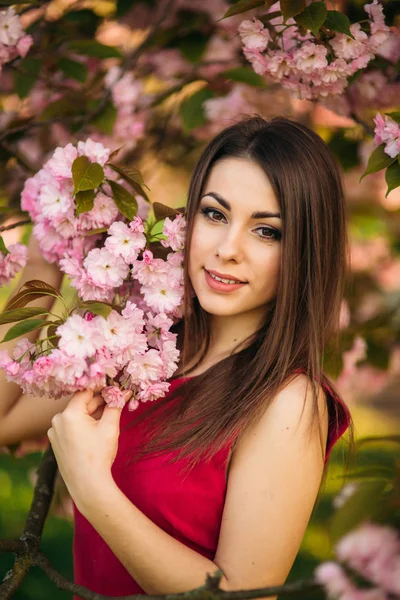 Retrato de una hermosa chica en sakura. Las flores de Sakura rodean a la chica. Una rama de Sakura junto a su cara. Árbol japonés —  Fotos de Stock