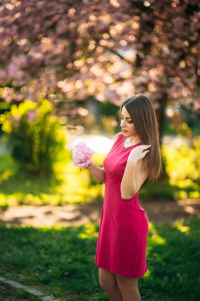 Charmante meisje in mooie roze jurk greep bos van sakura in handen. Mooi Europees meisje in de buurt van de Japanse boom — Stockfoto