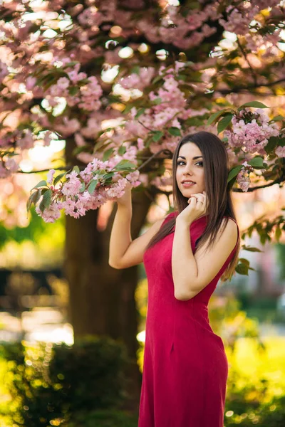 Hermosa chica posando para el fotógrafo sobre el fondo de los árboles rosados florecientes. Primavera. Sakura. —  Fotos de Stock