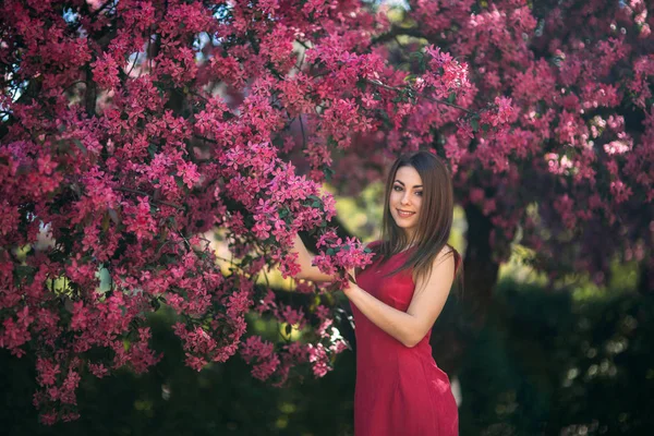 Hermosa dama de pie junto al gran color voilet árbol floreciente. Chica feliz con maquillaje en primavera —  Fotos de Stock