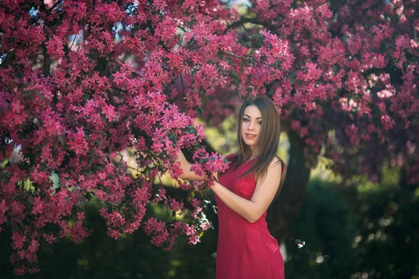 Hermosa dama de pie junto al gran color voilet árbol floreciente. Chica feliz con maquillaje en primavera —  Fotos de Stock