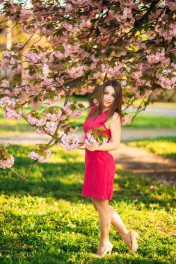 Sevimli kız güzel pembe elbise sakura elinde tutmak demet. Japon ağacı yakınındaki güzel Avrupa kız