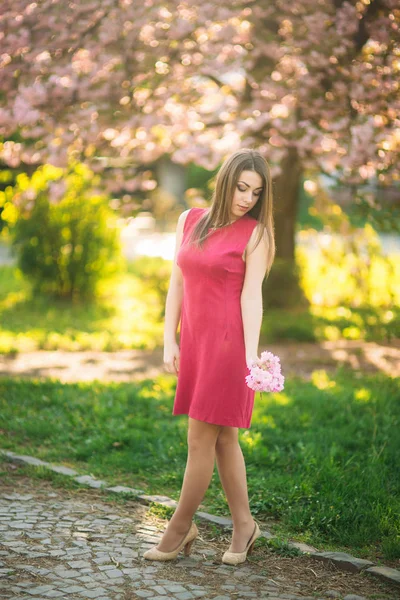 Чарівна дівчина в красивій рожевій сукні тримає купу сакури в руках. Красива європейська дівчина біля японського дерева — стокове фото
