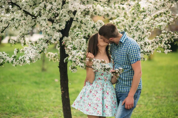 Młoda para w miłości odpoczynku w kwitnący ogród. białe kwitnące drzewa — Zdjęcie stockowe