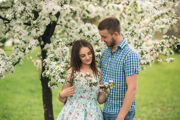 Mladý pár v lásce odpočinku v rozkvetlé zahradě. bílý kvetoucí stromy — Stock fotografie