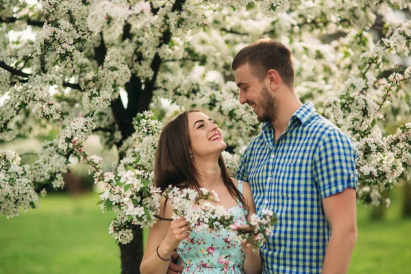 Casal jovem apaixonado descansando no jardim florescente. árvores florescentes brancas — Fotografia de Stock
