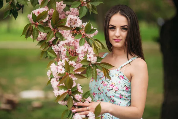 Elbiseli güzel kız pembe çiçek açan ağaç tarafından standı — Stok fotoğraf