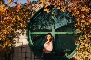 Mavi elbiseli güzel bir kız parkta yürüyor. Güneşli bir gün. Yaz